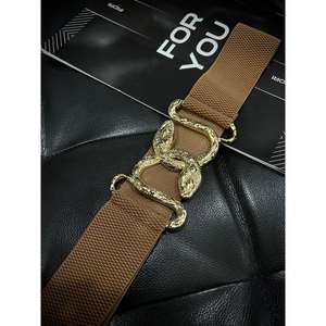 Cinturón Elástico con Hebilla de Serpiente Dorada para Mujer, Estilo Y2K, Cinturón Metálico con Herrajes de Aleación, Accesorio de Moda - Product Image 2