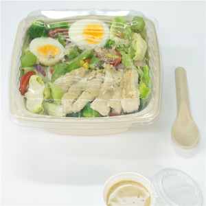 Phân hủy sinh học Takeaway vuông <span class=keywords><strong>container</strong></span> thực phẩm salad Bowl dùng một lần bã mía <span class=keywords><strong>container</strong></span> với nắp - Product Image 3