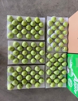 Graines de lotus fraîches du Vietnam, achat en gros, prix compétitifs, exportation en gros, produit agricole
