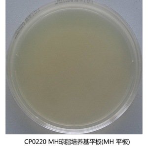 Plaques d'agar Huankai M-H 90 mm, 20 pièces, pour tests de sensibilité antimicrobienne, expériences microbiologiques - Product Image 5