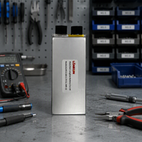 Batterie LiPo à haute densité énergétique LongKun 3.7V 8500mAh, cellule en pochette, polymère lithium, pour drone UAV, robot, OEM/ODM