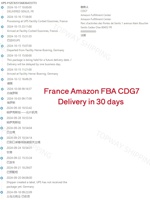 Service Logistique Rapide DDP, Porte à Porte, Transitaire de Chine vers la France, l'Allemagne, le Royaume-Uni, les États-Unis par Expédition Maritime/Aérienne