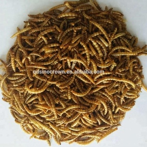 Gusanos <span class=keywords><strong>de</strong></span> peces dorados, comida seca para gusanos <span class=keywords><strong>de</strong></span> la harina para Koi King Betta, peces ornamentales, salmuera, <span class=keywords><strong>huevos</strong></span> <span class=keywords><strong>de</strong></span> camarones para caballos, ganado, cerdo, perro, cartón empaquetado - Product Image 6