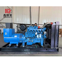 Precio al por Mayor, Generador Diésel Silencioso Yuchai 200kw/360kva YC6MK350L-D20, Arranque Automático, 1 Fase/3 Fases, Grupo Electrógeno ATS Industrial
