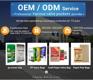 Sac tissé laminé PP vide <span class=keywords><strong>de</strong></span> 20 kg avec valve pour l'emballage <span class=keywords><strong>de</strong></span> mastic mural <span class=keywords><strong>intérieur</strong></span> - Product Image 6