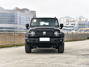 Para TANK 300 Tank GWM SUV, Coche de Marca Famosa, Alta Calidad, en Stock, 2.0T, 2.5 Asientos, SUV Usado - Product Image 3