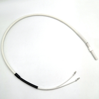Allumeur céramique pour brûleurs de fours à granulés de biomasse GMG, poêles et grilles, diamètre 8,8 mm, longueur 71 mm, 12 V, 70-80 W
