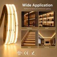 Bande lumineuse LED COB flexible DC24V 12V 480 LED/m pour éclairage paysager et commercial, conforme CE RoHS, CRI élevé 90/95, IP20