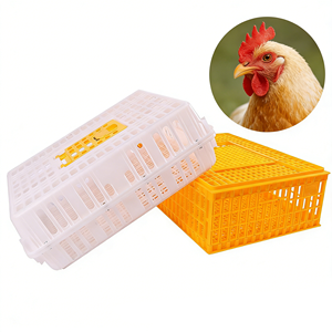 Caisse de transport pour poulets de chair à grande capacité pour le transport commercial en élevage de poulets de chair - Product Image 2
