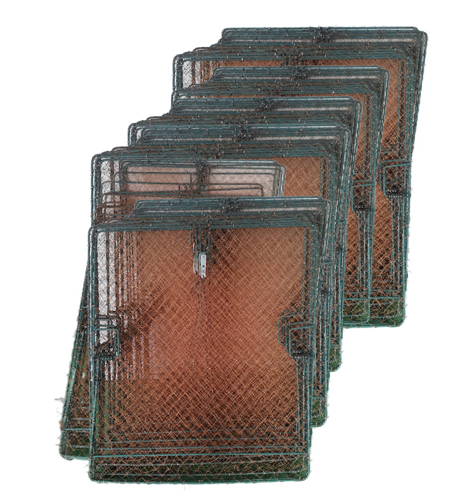 bird trap live catch