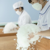 Offre Spéciale sans odeur lavé moelleux 90% duvet de plumes d'oie blanche