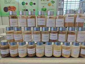 <span class=keywords><strong>Poudre</strong></span> <span class=keywords><strong>de</strong></span> cactus naturelle, extrait <span class=keywords><strong>de</strong></span> Lophophora Opuntia Ficus-indica, extrait <span class=keywords><strong>de</strong></span> <span class=keywords><strong>Nopal</strong></span>, <span class=keywords><strong>poudre</strong></span> <span class=keywords><strong>de</strong></span> figue <span class=keywords><strong>de</strong></span> Barbarie - Product Image 5