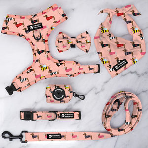 Pettorina per <span class=keywords><strong>Cuccioli</strong></span> con Stampa Design Bassotto, Kit <span class=keywords><strong>Collare</strong></span> e Guinzaglio Personalizzabile con LOGO, Pettorine Anti-Trazione per Cani - Product Image 3