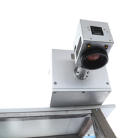 Imprimante laser CO2 automatique de date de Logo