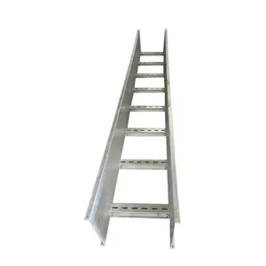 China OEM Metal Cable Ladder Tray Good Price Manufacturer