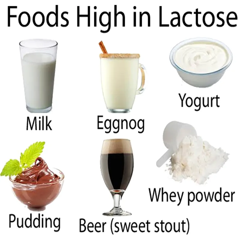 26 Năm Sunsonzyme Chất Lượng Tốt Nhất Phụ Gia Thực Phẩm Lactase Enzyme Bột Cho Lactose-Miễn Phí Sữa Sữa Chua Thực Phẩm Tiêu Hóa Thuốc Gummy