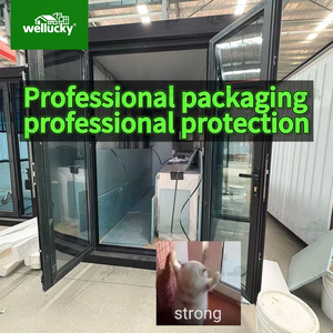 WELLUCKY - Casas Prefabricadas Modulares Plegables y Móviles Directamente de Fábrica, Casa Contenedor Económica, Casa de Camping Desmontable, Casa Móvil - Product Image 4