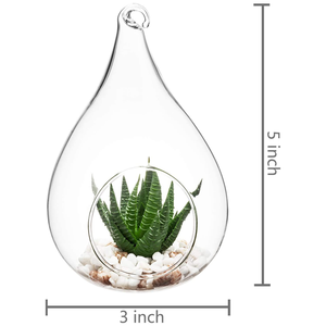 Vaso Terrario in <span class=keywords><strong>Vetro</strong></span> <span class=keywords><strong>per</strong></span> Piante Grasse e Aeree, Vaso a Goccia Soffiato a Mano da Parete, Ecologico, <span class=keywords><strong>per</strong></span> Feste, Ingrosso Jiangsu - Product Image 6