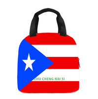 Sac à lunch isotherme avec drapeau des îles vierges des États-Unis, parfait pour les enfants, la maternelle, l'école, le travail, les voyages, les pique-niques, facile à transporter, unisexe