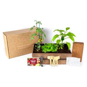 Vente en gros <span class=keywords><strong>Kit</strong></span> de démarrage unique pour jardin d'herbes d'intérieur Certifié sans OGM Top Décorations de plantes pour enfants <span class=keywords><strong>Kit</strong></span> de culture murale pour bricolage - Product Image 2