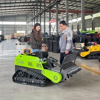Débroussailleuse à chenilles en caoutchouc robuste à moteur diesel, certifiée CE, télécommandée, pour le désherbage et le défrichement des terres agricoles