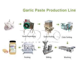 Máquina Peladora de Ajo Eléctrica Automática, Procesador de Alimentos para Ajo, Línea de Producción Industrial de Pasta de Vegetales, Capacidad de 100 kg/h - Product Image 4