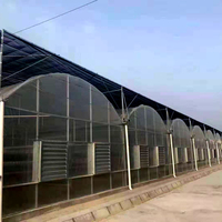Serre agricole industrielle multi-travées à grande envergure, structure en acier galvanisé, couverture en film PE, système hydroponique personnalisable