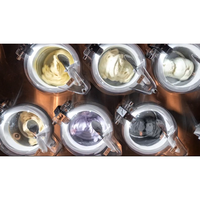 TOFU Gelato Popular Hot <strong>Sell</strong> 6 Cylinders 7.0L Each Pot Commercial <strong>Best</strong> Sale MILES GALAXY PRO V6 Show Case Pozzetti Singapore