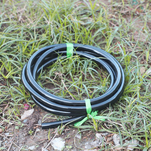 Hoseworld, resistente a la corrosión, diseño antiobstrucción, 3mm de diámetro, varios tamaños, <span class=keywords><strong>polietileno</strong></span> (PE), riego por goteo agrícola - Product Image 6