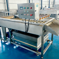 Fruitwasmachine Groentewasmachine Cassave-schilmachine Aardappelschilmachine Fruit- en groenteschilmachine