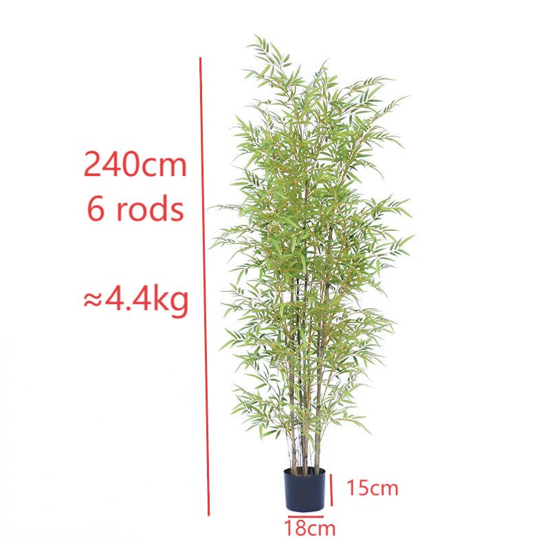 Yellow stem bamboo 240cm