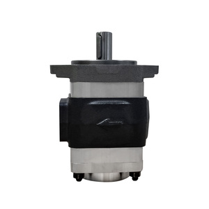 Bomba de Engranajes Hidráulica Reemplazo Eckerle Serie EIPH2 10cc/rev 12cc/rev 16cc/rev Presión Nominal 28Mpa Velocidad Máxima 4000r/min - Product Image 6