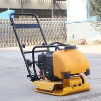 Factory Supply Manual Push Plate Compactor With Compaction Depth, Gasoline Engine