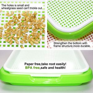 Extra Strength 4-Layer PP Nursery Trays Lids Healthy Wheatgrass <strong>Seeds</strong> Grower <strong>Storage</strong> for Home Office Garden <strong>Seed</strong> Planting - Product Image 2