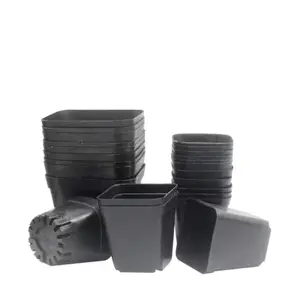 Hot Selling Thickened and Meaty Seedling Pot Small Black Square Black and White Plastic for Seedling and Flower Pot Planting