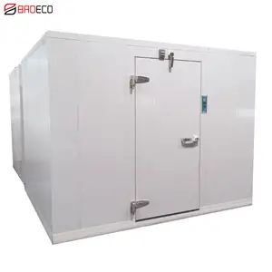 Customized Commercial Small Frozen Cold Storage Room for Meat, Beaf, Fish, Shrimp, Fruits, Vegetable, Seafood