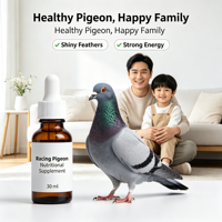 Comprimés Motivational Pigeon K9 Praventa Pulgas Geledor, Complément pour pigeons voyageurs, Gouttes pour la santé, l'immunité et les soins des plumes, OEM