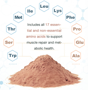 חלבון מותסס PDCAAS גבוה לתזונת ספורט |   מרכיב - Product Image 6