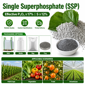 Superphosphate de calcium de haute pureté SSP 17% P2O5 Soufre <span class=keywords><strong>12</strong></span>% CAS 8011-76-5 <span class=keywords><strong>Engrais</strong></span> phosphaté Direct usine - Product Image 1