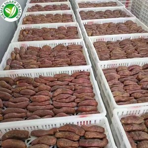 Patate douce rôtie congelée au miel IQF <span class=keywords><strong>de</strong></span> prix d'acheteur tonne non sucré biologique sain naturel congélation nutritif - Product Image 5