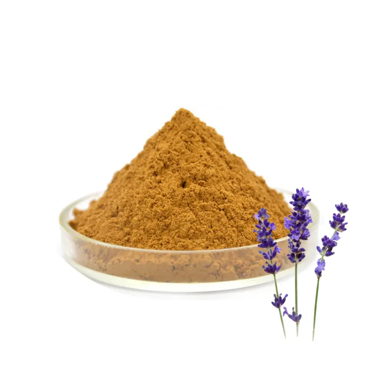 Organische Lavandula Angustifolia Flower Extract Food Grade Lavendel Extract Poeder