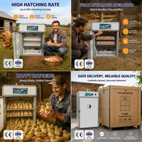 Équipement d'élevage avicole entièrement automatique, couveuse pour 176 œufs, machine d'incubation, incubateurs à œufs de poulet