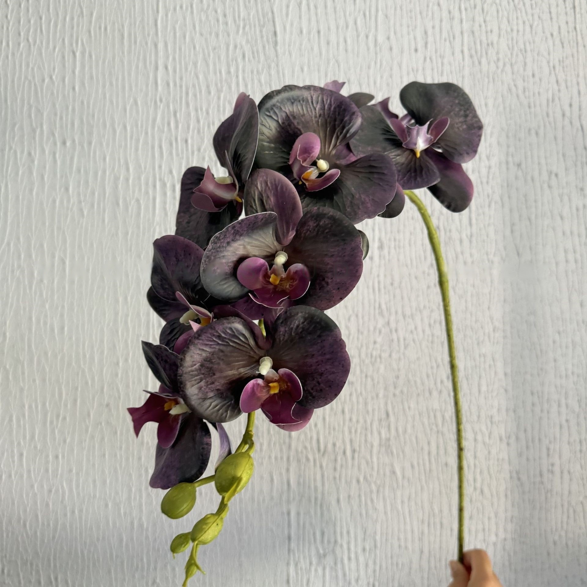 Burgundy 9-Head Phalaenopsis Orchid Branch Real Touch Soft Big Orchid for Interior Design and Home Decor