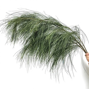 Ramas Frescas de <span class=keywords><strong>Pino</strong></span> <span class=keywords><strong>Casuarina</strong></span> Equisetifolia, Flores Verdes para Bodas y Paisajismo, Flores Pequeñas al por Mayor - Product Image 1
