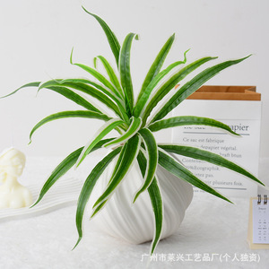 Laixing <b>Artificial</b> <b>Spider</b> <b>Plant</b> 35Cm White Edged Soft Pvc High Simulation Home Decoration - Product Image 3