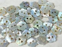 Kancing Cangkang Alami Bentuk Bunga 2 Lubang 10.6MM 17L Kancing Cangkang Akoya Jepang untuk Pakaian