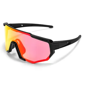Cycling Glasses Customizable Photochromic Polarized TAC Lens UV Protection Anti Fog TR90 Frame