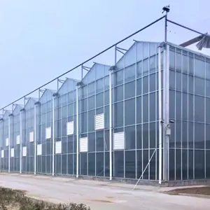 Greenhouse Professional Greenhouse Agricultural/Commercial/Industrial Multi-span Glass Greenhouses For Sale