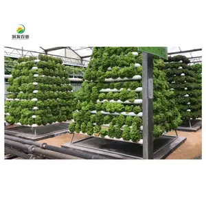 Vertical Farming Equipment Hydroponics Greenhouses Film China Agriculture Productive Hydroponic Growing System