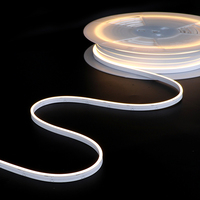 Vente directe d'usine, néon régulier, rouleau de 5 mètres, 10 mètres, 12v 24v, bande lumineuse LED néon flexible, ultra-mince, blanche, flexible